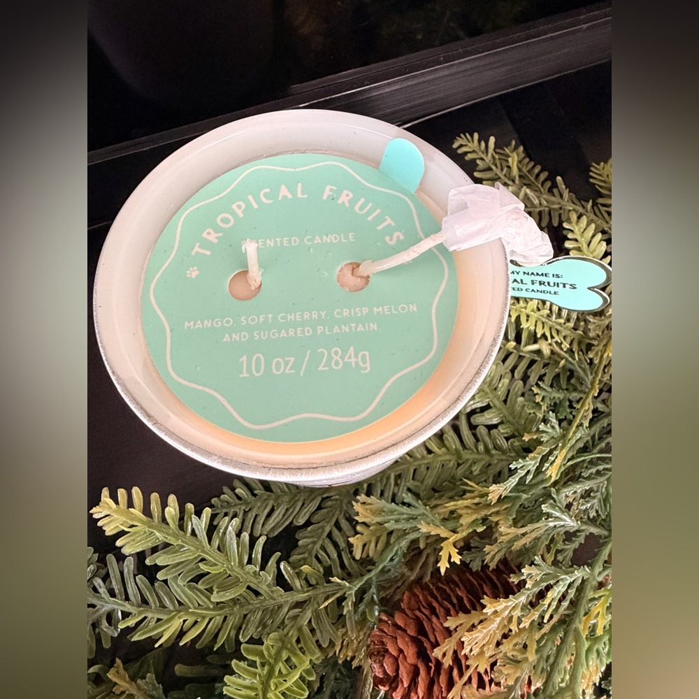 PICK ONE!! Glass Animal Themed Scented Candles - Picture 12 of 16